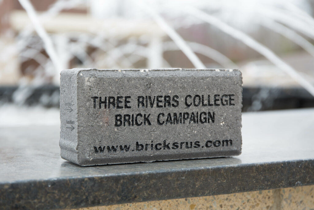 Three Rivers College Brick Campaign